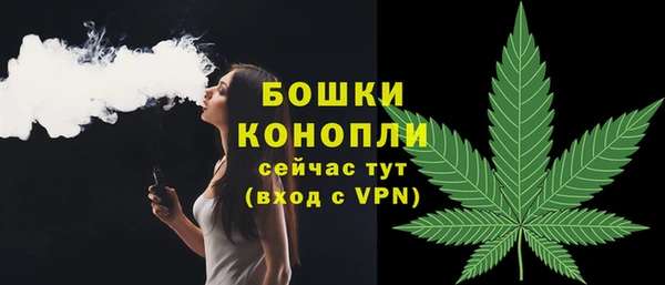 соль ск Абаза