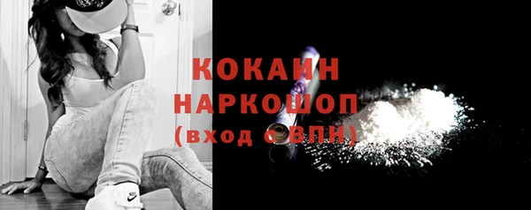 соль ск Абаза