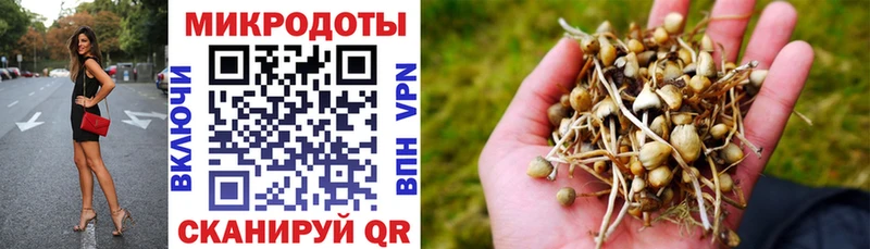 Галлюциногенные грибы Cubensis Яранск